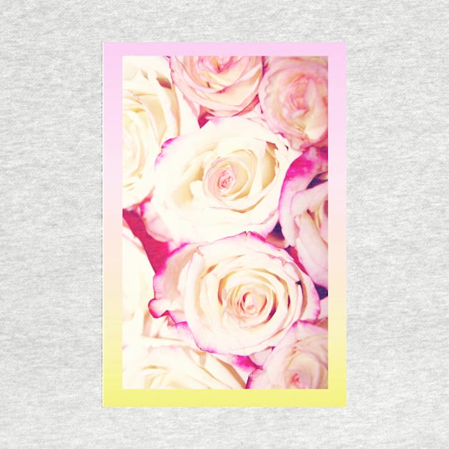 Gradient Roses by CecilieKaroline